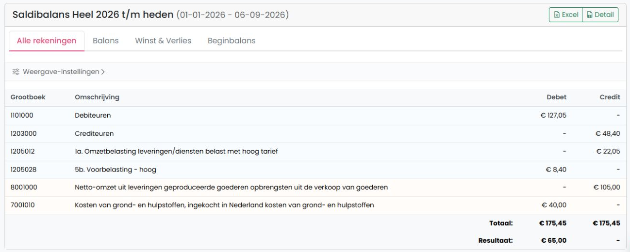 Saldibalans van de fictieve webshop met omzet en kosten uit de aangeleverde facturen